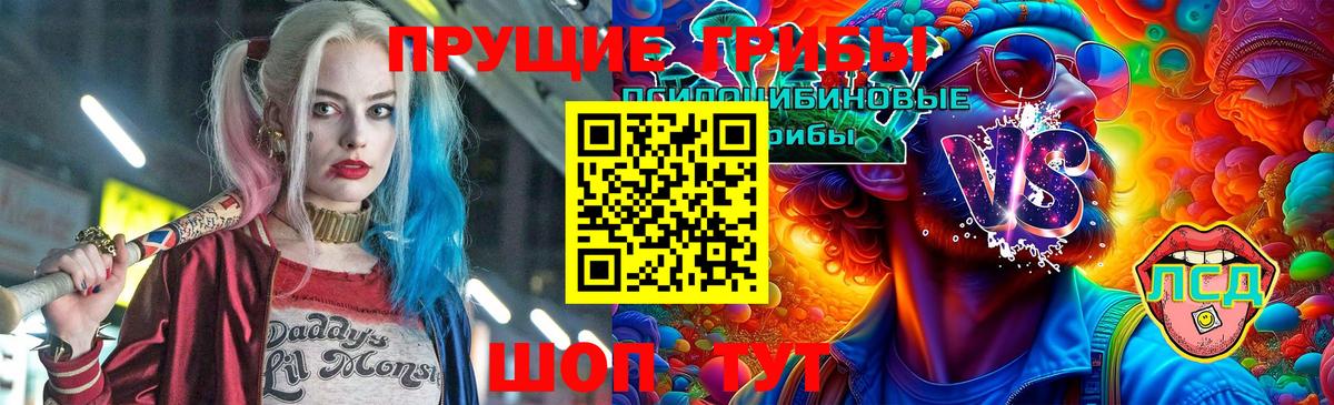 Добрянка  Галлюциногенные грибы Cubensis  Вход с VPN  Псилоцибиновые грибы мицелий 