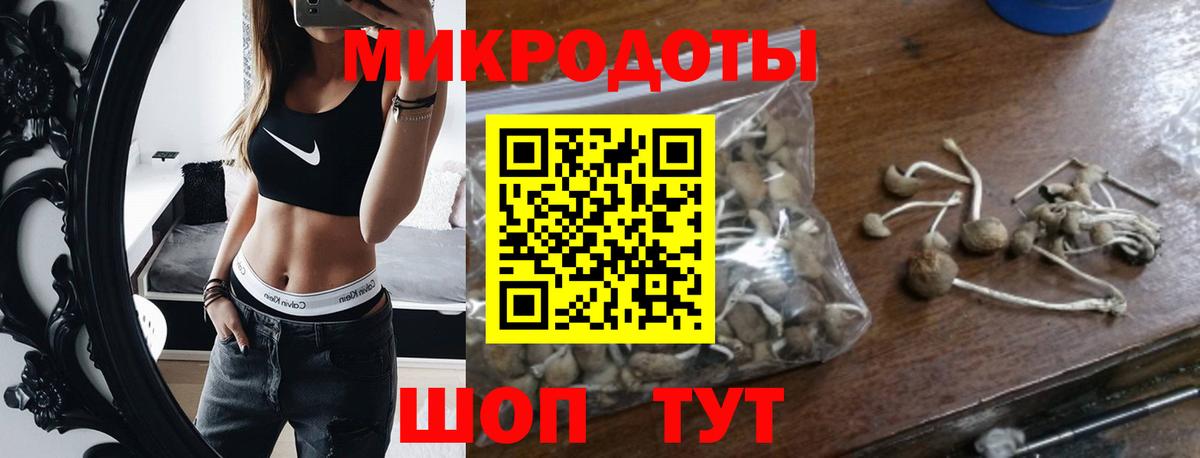 Псилоцибиновые грибы мицелий Добрянка